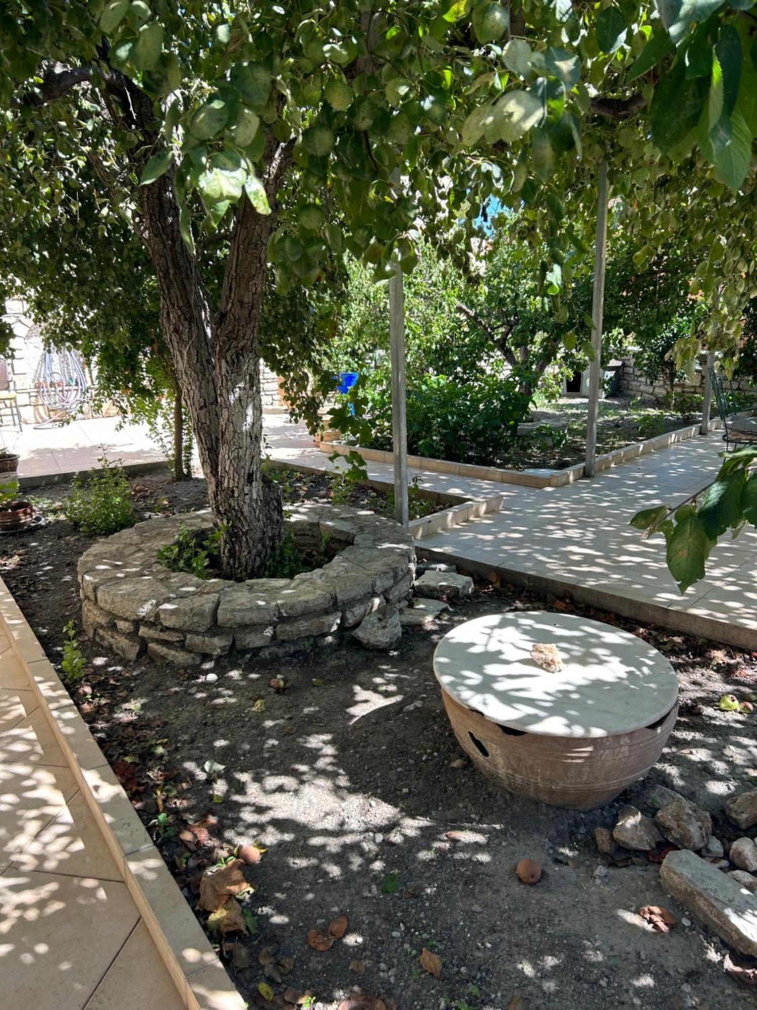 בית נופש Tulip House